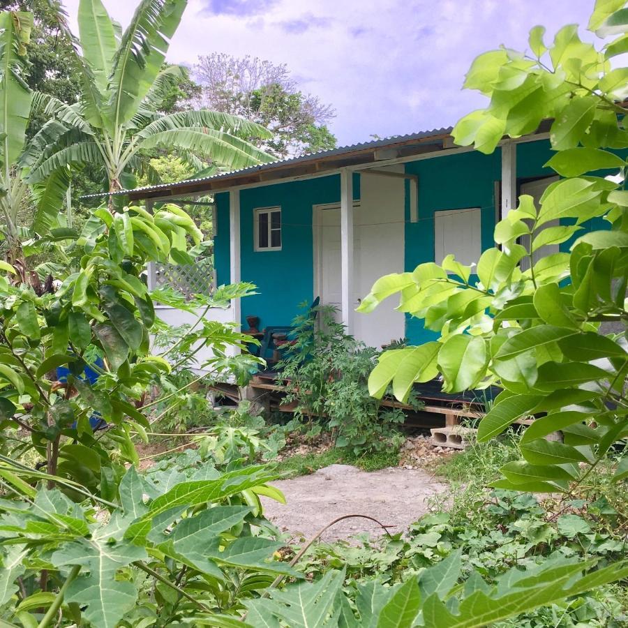 Easymans' Winifred Beach Chalets Port Antonio Exterior foto